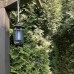 Інсектицидна лампа IKN7 IPX4